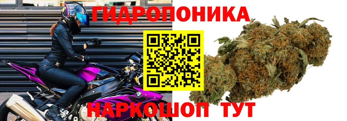 Канабис конопля Торжок